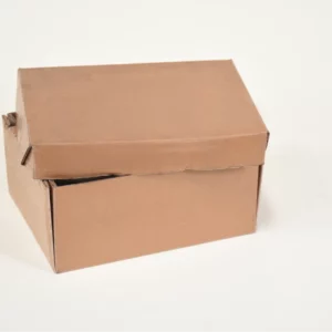 A small, closed brown cardboard box with a slightly ajar lid on a white background.