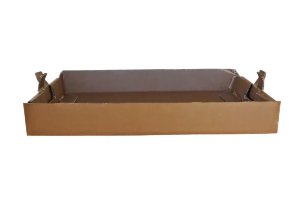 A cardboard tray or food container sits on a white background.