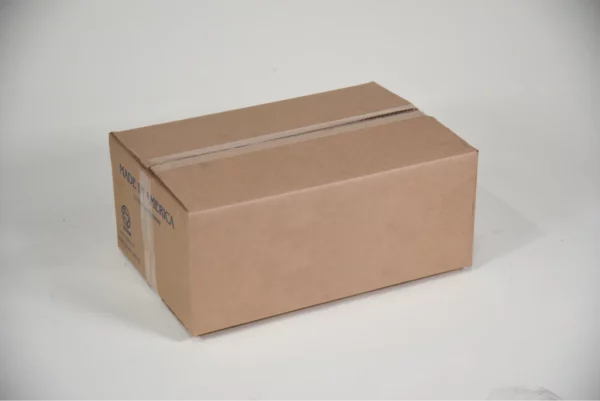 Sealed plain brown cardboard box with tape on top.