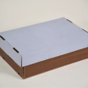 A plain white cardboard box with a brown paper lid sits on a table.
