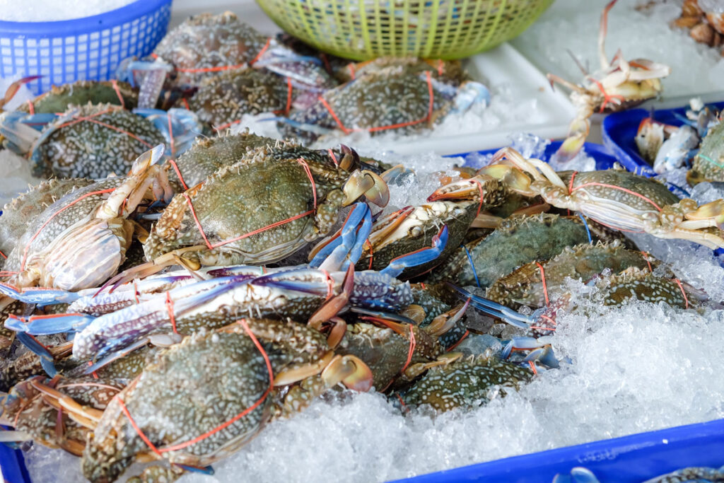 Wax Carton Packaging for Boston Seafood