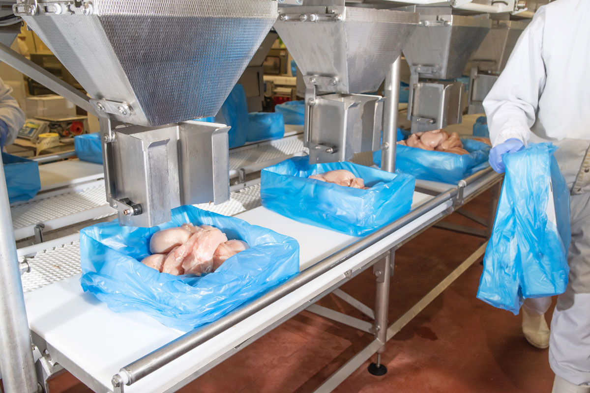 Poultry Wax Carton Packaging