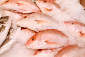 Seafood Wax Carton Packaging Miami