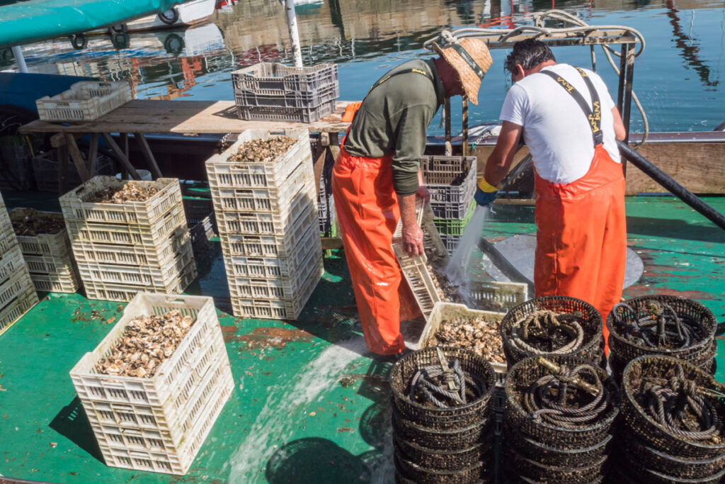 Wax Carton Seafood Packaging