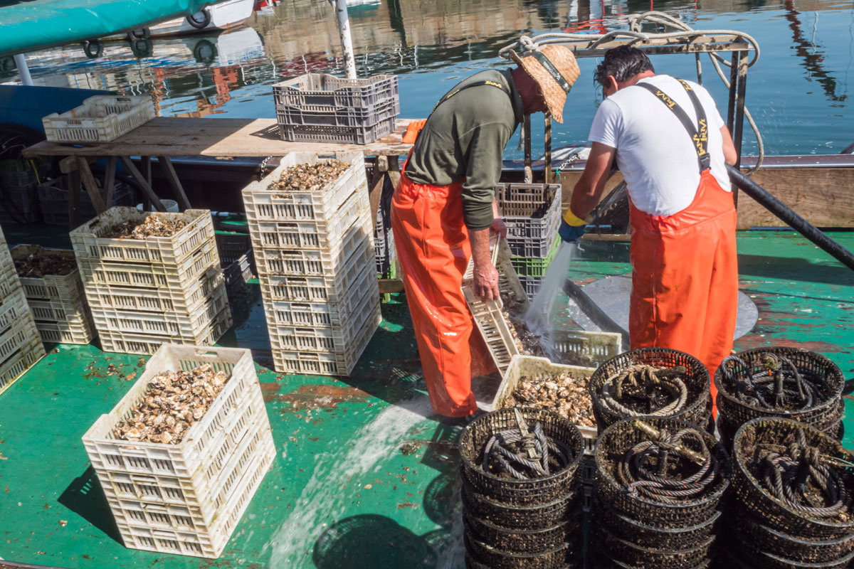 Wax Carton Seafood Packaging