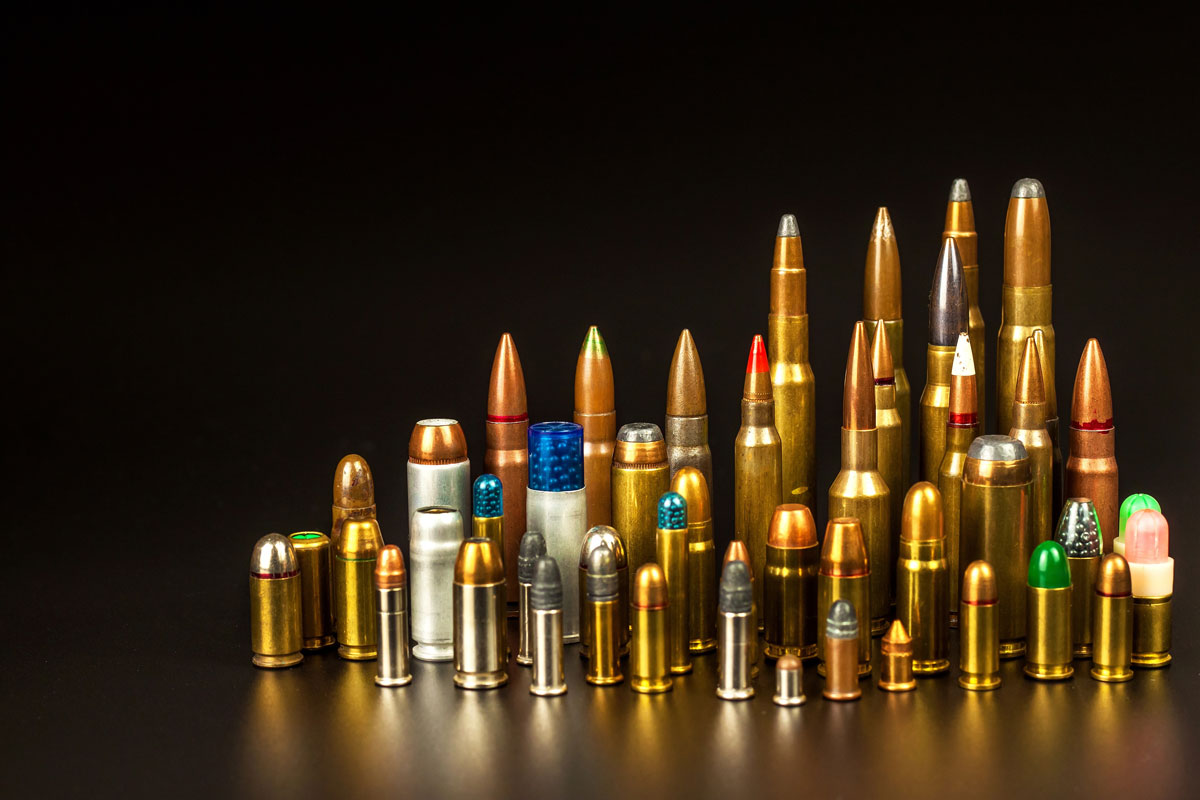 Firearms and Ammo Warehousing